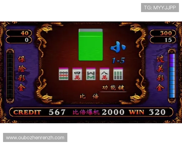 视讯龙虎游戏玩法详解让你轻松掌握赢取大奖的秘诀